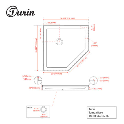 Turin Tampa Frameless Neo-Angle Pivot Shower Kit